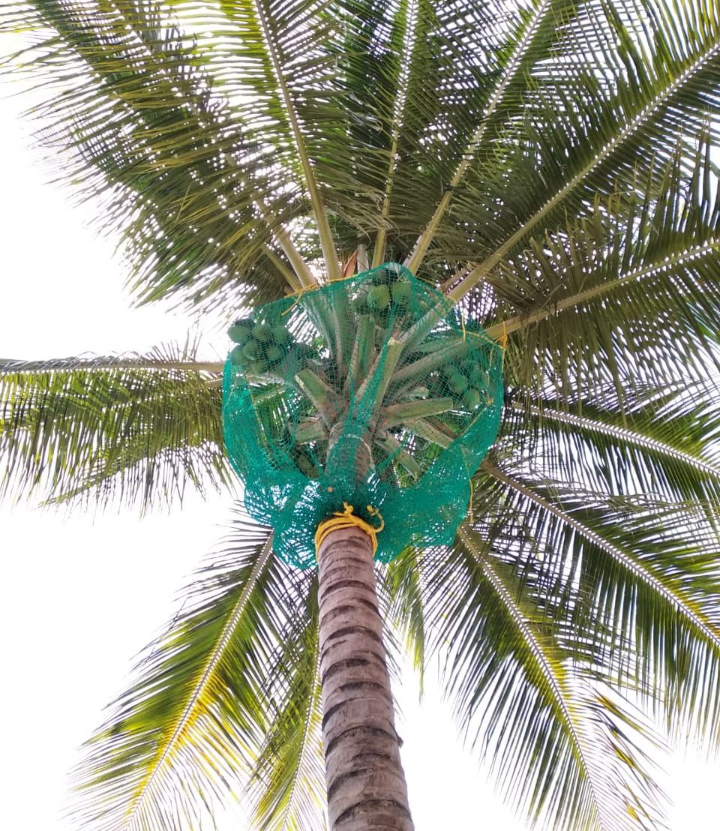 Manikanta Invisible Grills