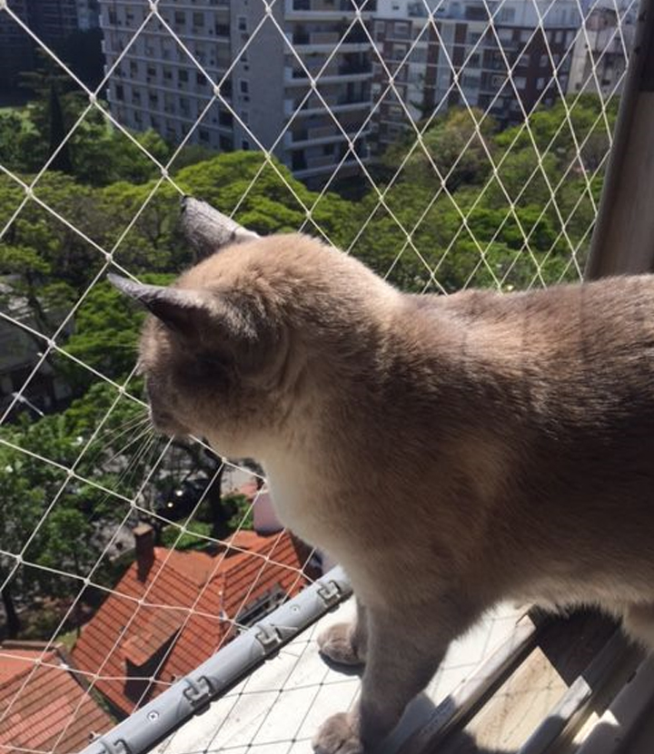 Manikanta Invisible Grills